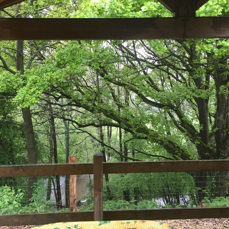 Camping Du Puy Rond Bressuire Værelse billede